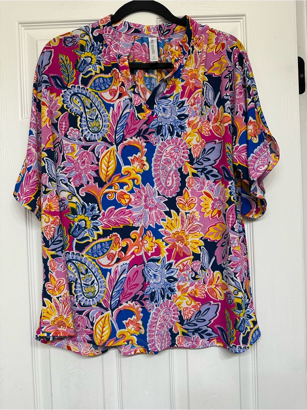 Colorful Paisley & Floral V-Neck Blouse - Pink Multi